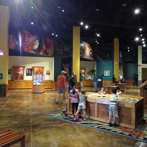 Dr Wilde's World interior, March 2015