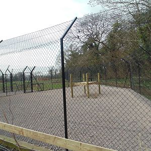 Cheetah Enclosure