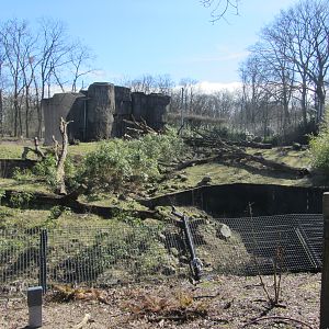 Burgers' Rimba - Sumatran tiger enclosure
