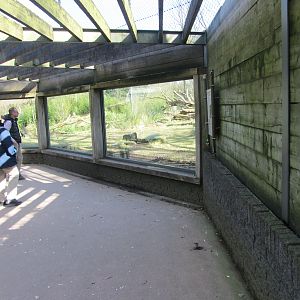Burgers' Rimba - Tiger viewing point