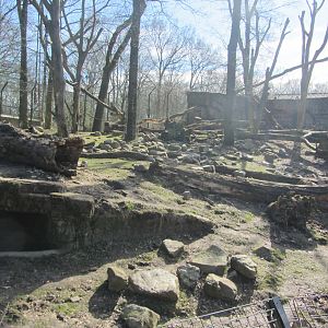 Burgers' Rimba - Malayan sun bear enclosure