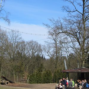 Burgers' Rimba - Siamang part of main paddock