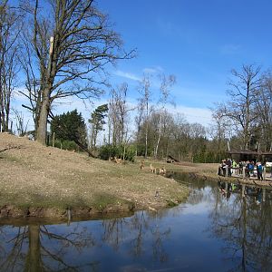 Burgers' Rimba - Main paddock
