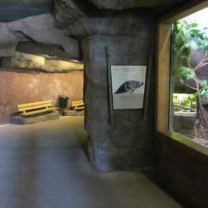 Burgers' Rimba - Reptile tunnel