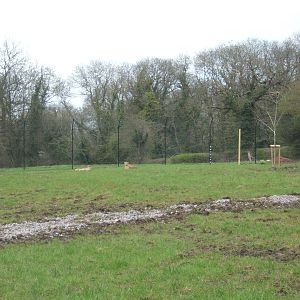 View of part of the Cheetah complex