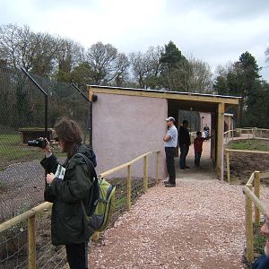 View of part of the Cheetah complex