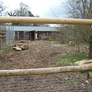 Old Red River Hog housing now used for Okapi