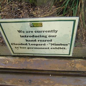 Sign about the Clouded Leopard