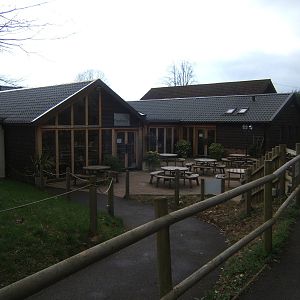 View of the new cafe