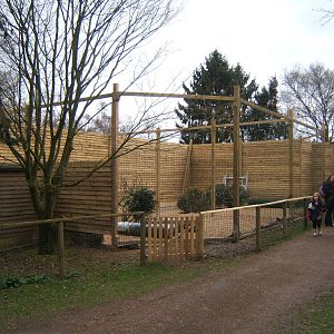 New aviary under construction