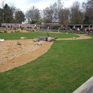 View of Savannah Arena