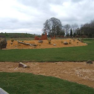 View of Savannah Arena