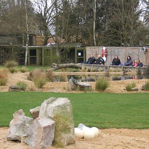 View of Savannah Arena
