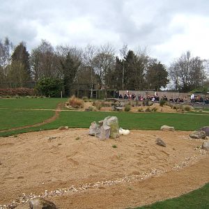 View of Savannah Arena