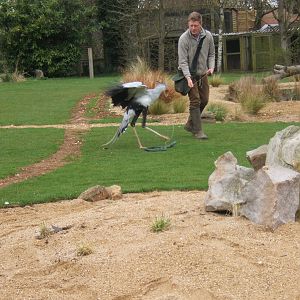 View of Savannah Arena