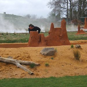 View of Savannah Arena with meerkat trainer but no meerkat