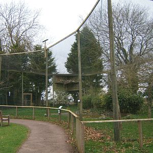 View of White-headed Vulture Aviary
