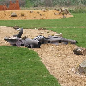 View of Savannah Arena