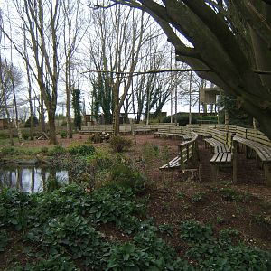 View of Woodland Arena
