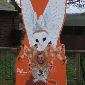 At last something has taken the giraffe out