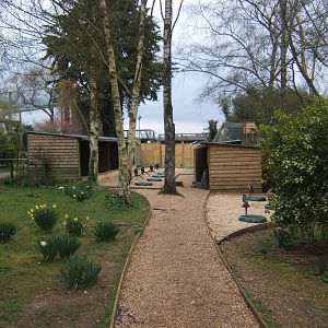 View of the mews for the Hawk experience birds