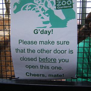 Signage on the entry doors to the Wallaby Walk through