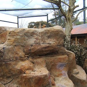 View of the Wallaby Walk through