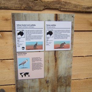 Signage in the Wallaby Walk through