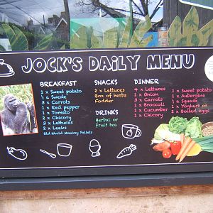 Gorilla menu