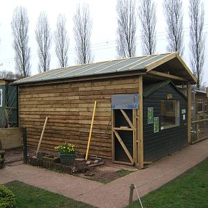New Stump-tailed Macaque House under construction