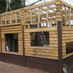 Latest stage of the new Raccoon enclosure