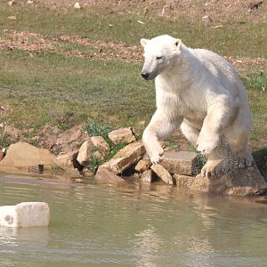 More flying pixel 6-4-15