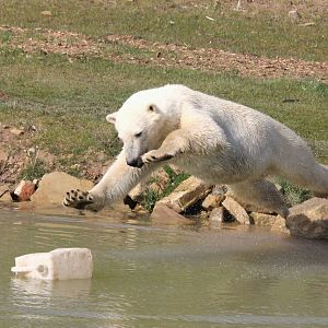 More flying pixel 6-4-15