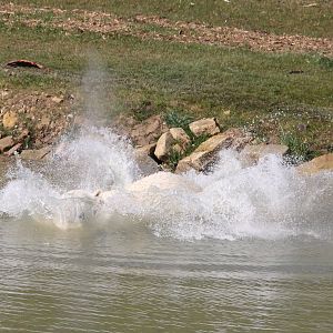 More flying pixel 6-4-15