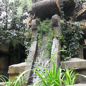 Centre of the Aquarium