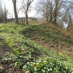 Enclosure for Cameroon Sheep