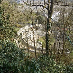 Bear Ravine from above