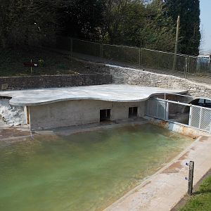 Restored sea lion pool and new gates