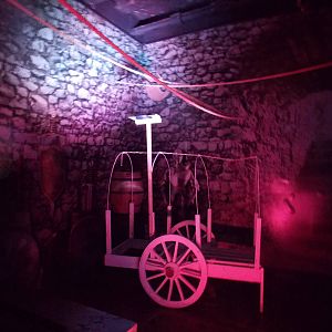 Bat exhibit (first part)