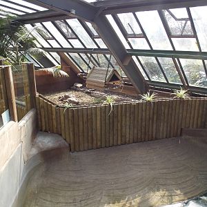 New tortoise enclosure