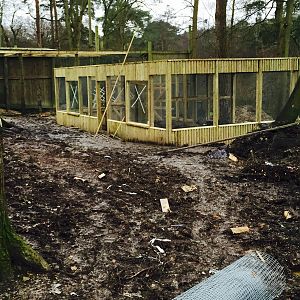 Tilgate February 2015