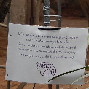 Sign in Elephant House