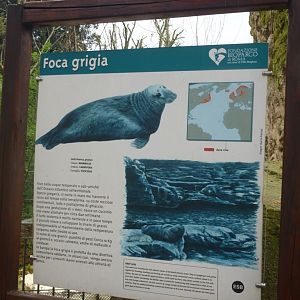Grey seal sign 5.4.15