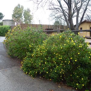 Bioparco di Roma 5.4.15