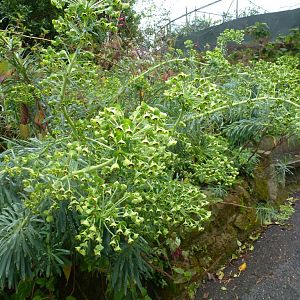 Bioparco di Roma 5.4.15