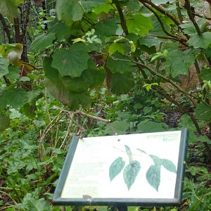 Bioparco di Roma 5.4.15
