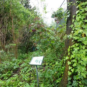 Bioparco di Roma 5.4.15