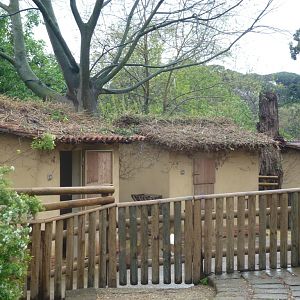 Bioparco di Roma 5.4.15