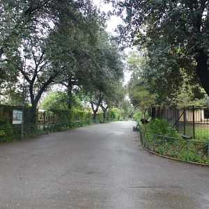 Bioparco di Roma 5.4.15