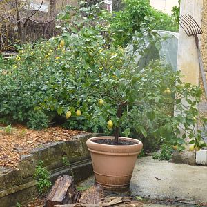 Bioparco di Roma 5.4.15